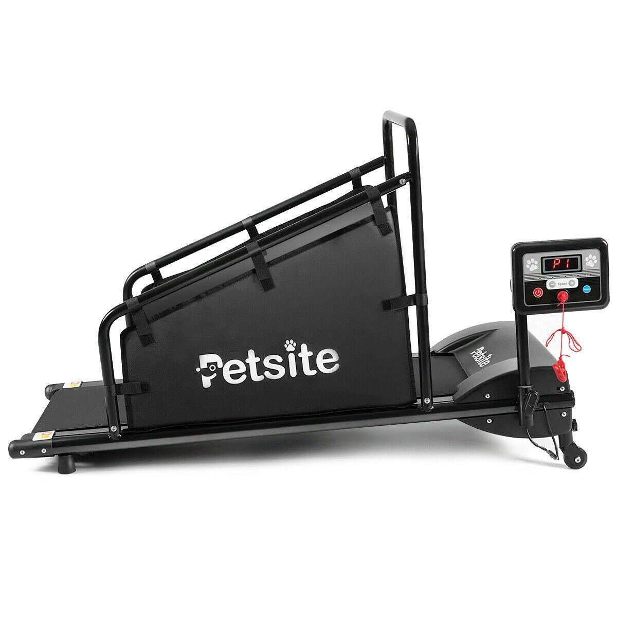 Dog treadmills put to the test Product comparison