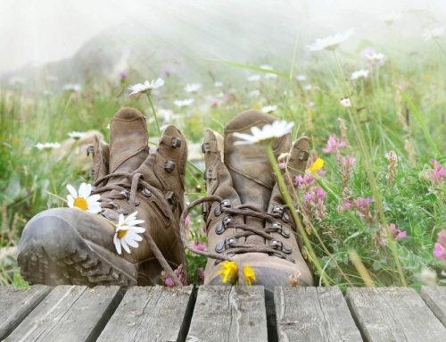 Women’s hiking shoes put to the test