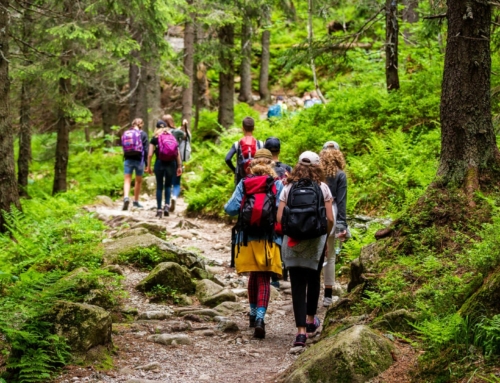 Hiking backpacks tested